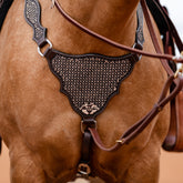 Breastcollar Chocolate Confection Collection
